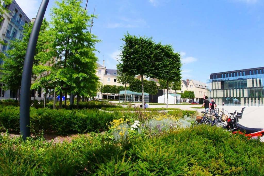 Chartres Coeur De Ville, Beau 2 Pieces Chaleureux Et Lumineux,Parking Et Wifi ! 외부 사진